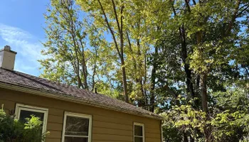 Tree Removal for Fransen's Tree Service  in Freeport, IL