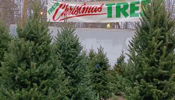 Pinestraw for BAM Another Pinestraw Lot in Flowery Branch, GA