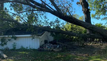 Tree Removal for Allstate Tree Service in Fridley, MN