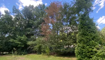 Residential & Commercial Excavation for Upchurch Property Management in Vass, NC