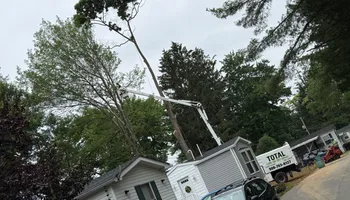 Tree Removal for Total Tree Service in Washington, NJ