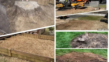 Stump Removal for Mad Dust Stump Grinding in Howard County, MD