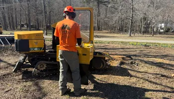 Tree Removal for Ross Family Tree Service LLC  in Hohenwald, TN