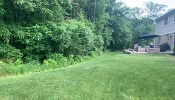 Tree Removal for Ramirez Tree Care in Pontiac, Michigan