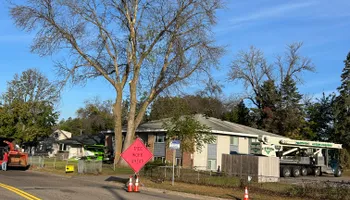 Tree Removal for Allstate Tree Service and Crane in Minneapolis, MN