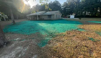 Hydroseeding for Holland Hydroseeding LLC in Columbia, MS