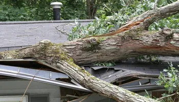 Roofing Installation for Viva Roofing in Dallas, TX