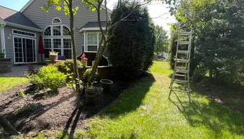 Tree Removal for Tree ReLeaf in Manalapan, NJ