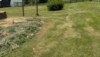 Tree Removal for Precision Cutz Tree Services, LLC in Coeburn, VA
