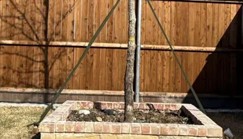 Lawn Aeration for North Texas Groundscaping in Frisco, TX