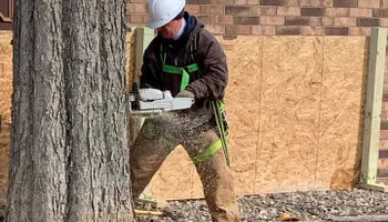 Tree Removal for Dittmer Tree Service in Davenport, IA