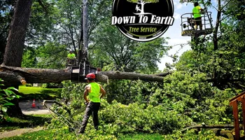 Tree Removal for Down To Earth Tree Service in Red Wing,  Minnesota