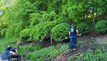 Mowing for Dibs Landscaping LLC in Cheshire, CT