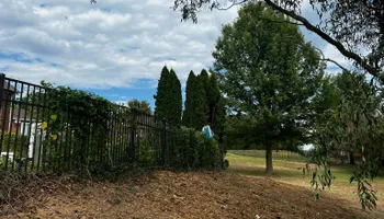 Land Clearing for Michael Way Acres in Woodlawn, TN
