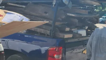 Yard Debris Clean Up for Moma Services: Junk Removal, Trash Removal, Hauling, & Donation in Baltimore, MD
