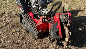 Tree Removal for Oakley’s Stump ‘N Grind in Leander, TX