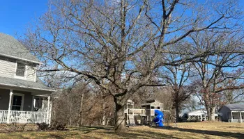 Tree Removal for Hunnicutt’s Tree Service L.L.C. in Monticello, IN