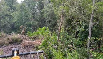 Land Clearing & Demolition for All American Excavating Inc in Brooksville,  FL