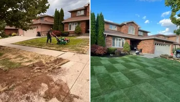 Interlock Paver Repair for Bravo Interlock Repairs in Burlington, ON