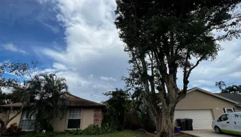 Tree Removal for Outdoor Solutions Of The Glades in Hendry County, FL