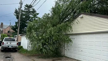 Tree Removal for Allstate Tree Service and Crane in Spring Lake Park, MN