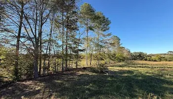 Land Clearing for Mud Creek Vegetation Management in Russellville, AL