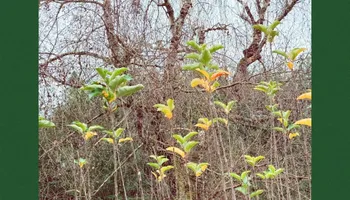 Landscape Supply Center for Handy Hands Landscape in Corvallis, OR