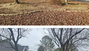 Lawn Care & Maintenance for Natures Accent in Wilson, NC