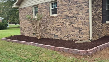 Tree Removal for Optimum Tree Service And Landscaping in Bowling Green, KY