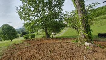 Tree Removal for M&L Lumber and Excavating in Jonesborough, TN