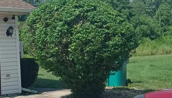 Mowing for Prime Landscaping 219 in Lake Station, IN