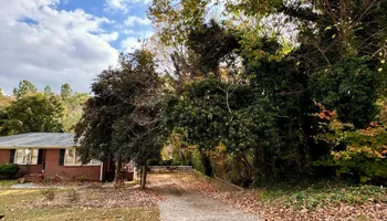 Tree Removal for Hickory Ridge Tree Service in Roxboro, NC