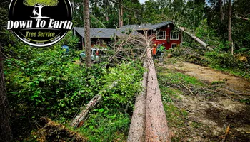 Tree Removal for Down To Earth Tree Service in Red Wing,  Minnesota