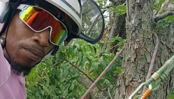 Tree Removal for Marvelous Marvin's Tree Care in Garland, TX