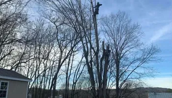 Tree Removal for VA Landgrowth LLC in Lexington, VA