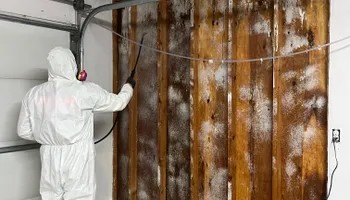 Water Mitigation for No Fear Restoration in Port Angeles, WA