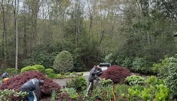Mowing for Sustainable Property Services in Banner Elk, NC