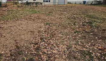 Stump Grinding for Anchor & Grind Stump in Chesapeake, VA