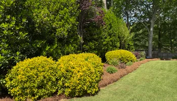 Mowing for Chavez Landscaping in Pittsboro, NC