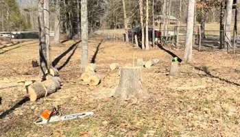 Tree Removal for Meade tree service in Greensboro, NC
