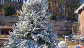 Pinestraw for BAM Another Pinestraw Lot in Flowery Branch, GA