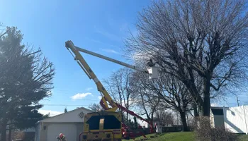 Tree Removal for SMITHs Tree Service in Columbus, IN