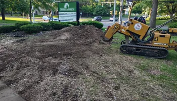 Residential Tree Services for TH Property Service, LLC in Manlius, NY