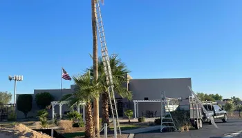 Fall and Spring Clean Up for Oliver L. Palm & Tree services in Yuma, AZ