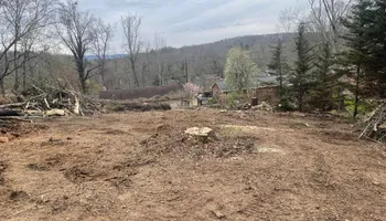 Tree Removal for Lucky’s Tree Removal and Landscape Services in Knoxville, TN