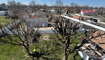 Tree Removal for SMITHs Tree Service in Columbus, IN