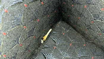 Residential Cleaning for A+ Cleaning and Services LLC in Deep Creek Lake, MD 