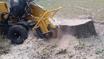 Tree Removal for Daniel Hickey’s Tree Service in DeLand, FL