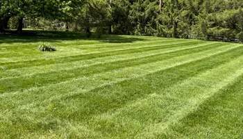 Lawn Care and Maintenance for Sneed & Co LLC in Kokomo, IN