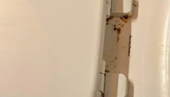 Residential Cleaning for A+ Cleaning and Services LLC in Deep Creek Lake, MD 